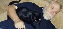 Sidebar_fahey