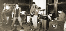 Sidebar_chestnut