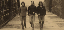 Sidebar_stumpwater1