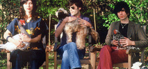 Sidebar_scenecreamers