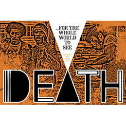 Death: ...For The Whole World To See Poster (DC387P)