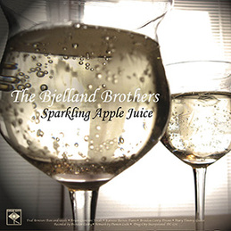 The Bjelland Brothers&nbsp;/&nbsp;Taste of New York: "Sparkling Apple Juice" b/w "Can We Stay With You?" (DC576)