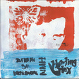 Neil Michael Hagerty & The Howling Hex: "Butterfly" b/w "Party Shoes" (DC622)