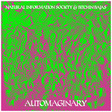 Natural Information Society &amp; Bitchin Bajas: Automaginary (DC626)