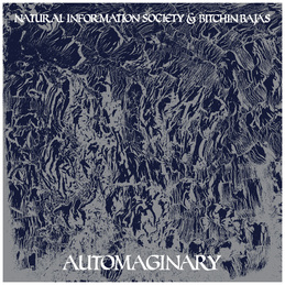 Natural Information Society &amp; Bitchin Bajas: Automaginary (DC626)