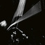 Arnold Dreyblatt &amp; The Orchestra of Excited Strings: Resolve (DC877)
