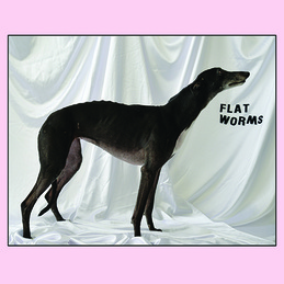 Flat Worms: Flat Worms (God028)