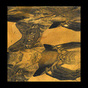 Tashi Dorji: Tashi Dorji (DC887)