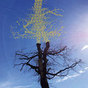 Laetitia Sadier: Rooting for Love (DC874)