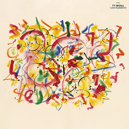 Ty Segall: Love Rudiments (DC831)
