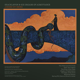 Shackleton &amp; Six Organs of Admittance: Jinxed by Being (DC893)