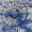 Edith Frost: In Space (DC940)