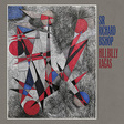 Sir Richard Bishop: Hillbilly Ragas (DC956)