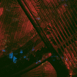 Charlemagne Palestine & Christoph Heemann: Saiten in Flammen (ST1026)