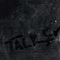U.S. Maple: Talker (DC164)