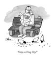Medium_pigeons_cartoon_for_instagram