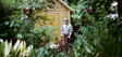 Medium_billcallahan_byhanlybankscallahan_0031
