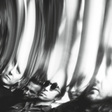 Medium_dc980_ty_segall_-_chrome_mini