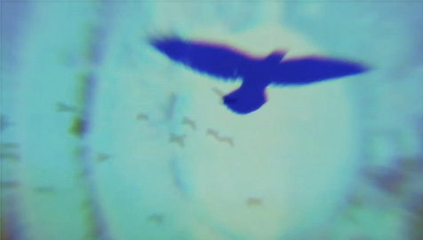 Large_130528bc