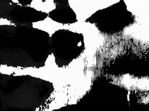 Large_dc772v3