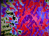 Video_dc956v3